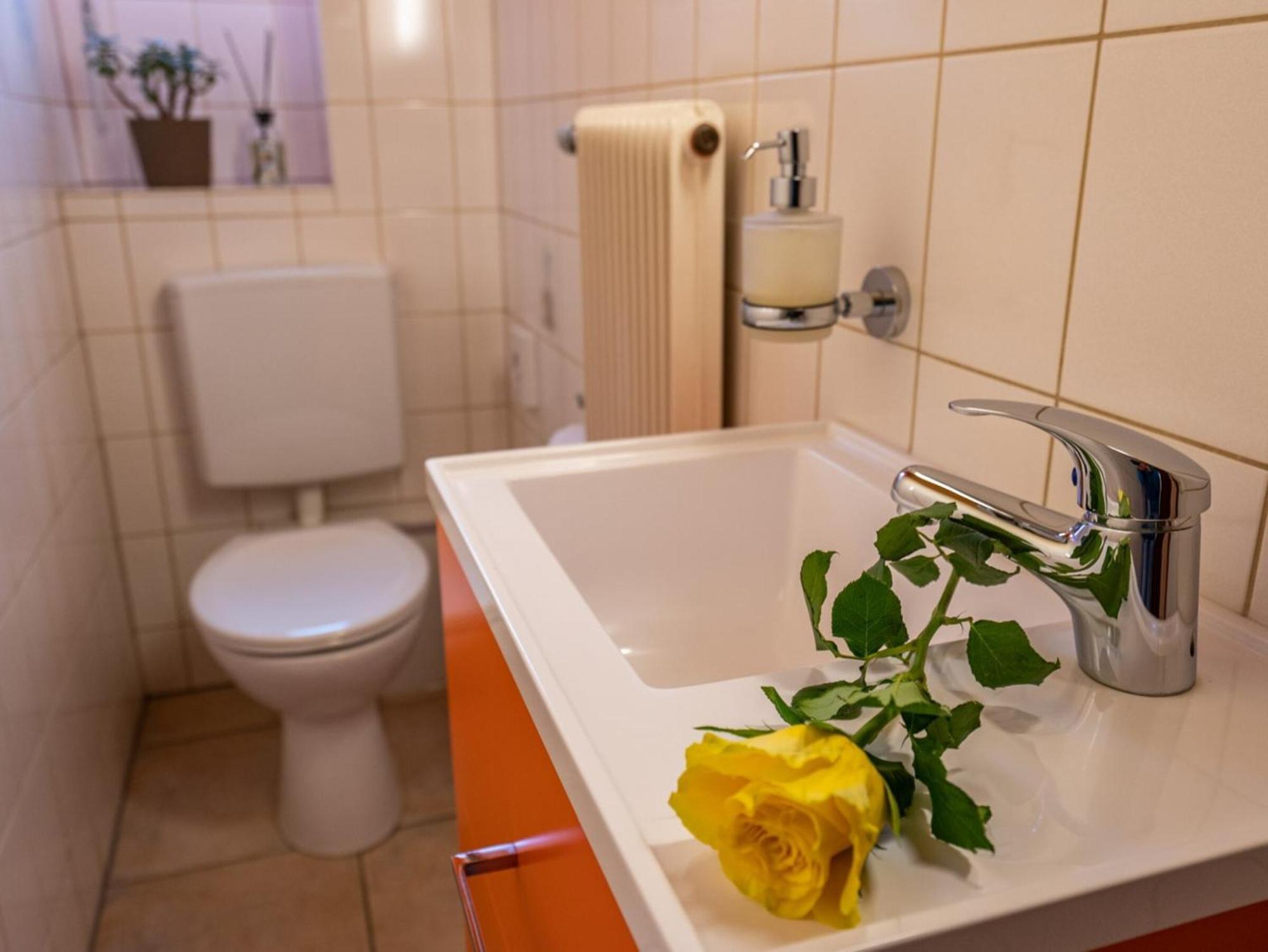 Ferienwohnung Dietsche Todtnau Dış mekan fotoğraf